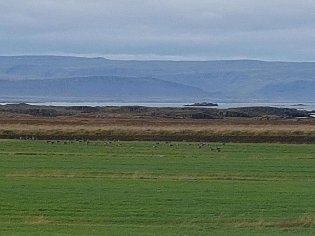 Mithjanes Reykholahrepp Guest House Рейкхолар Екстериор снимка